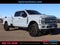 2024 Ford Super Duty F-250 SRW Platinum