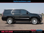 2020 Cadillac Escalade Platinum