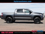 2019 Toyota Tundra 4WD Platinum